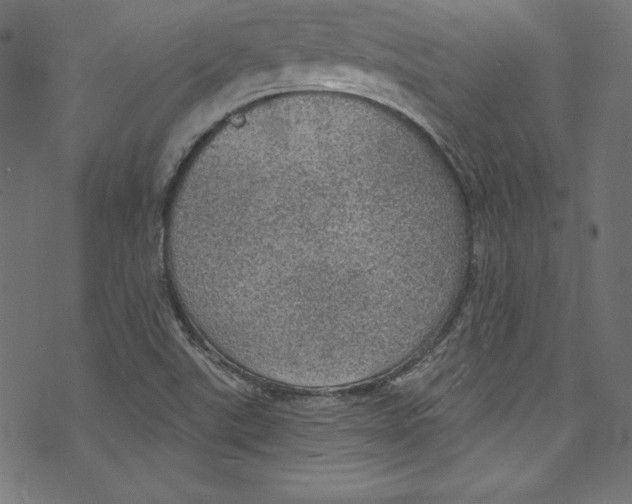 X0000072971507200608211309