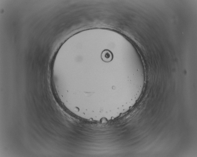 X0000072971508200608211309