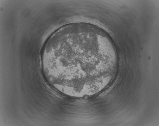 X0000072971509200608211309