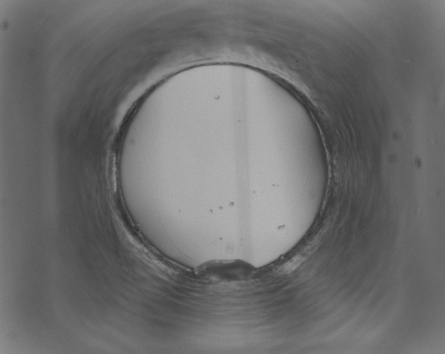 X0000072971510200608211309