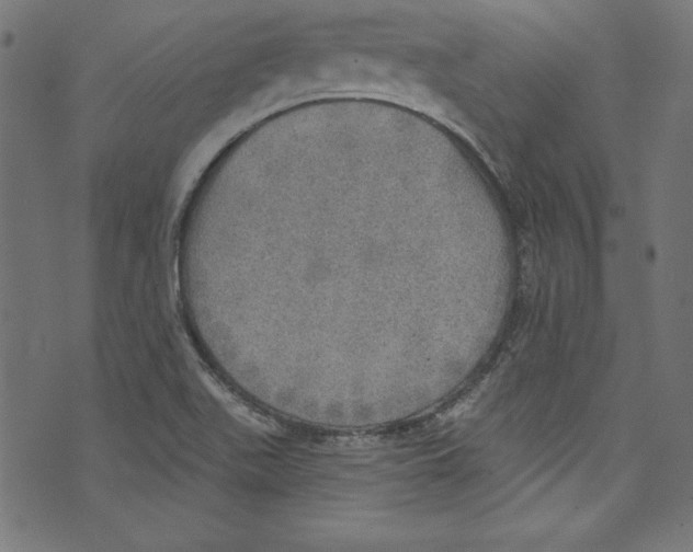 X0000072971511200608211309