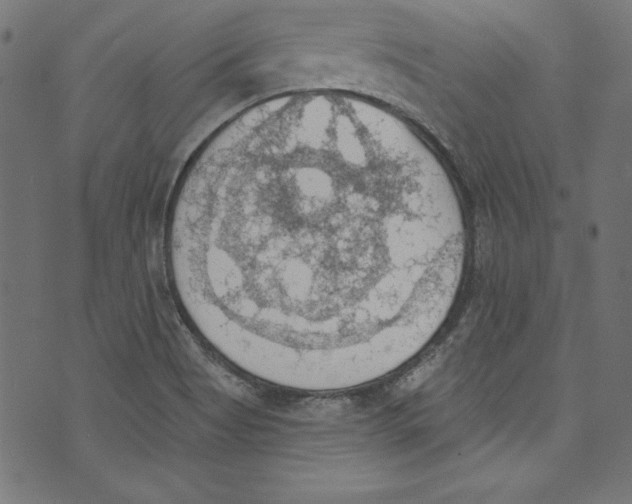 X0000072971513200608211309