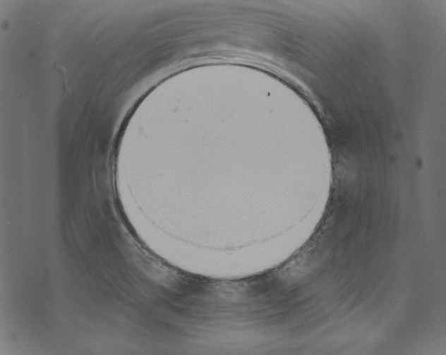 X0000072971514200608211309