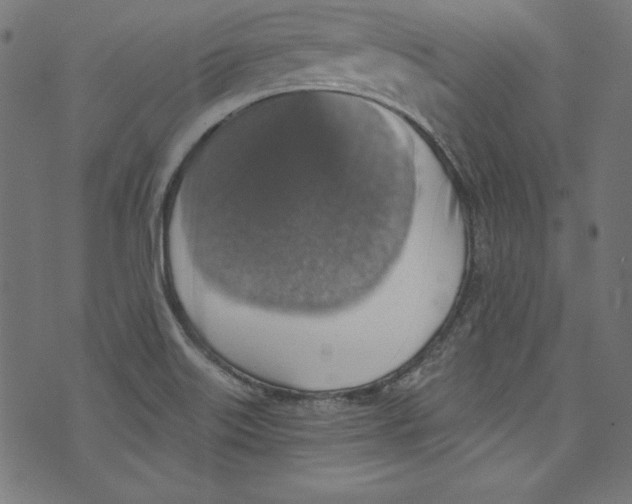 X0000072971515200608211309