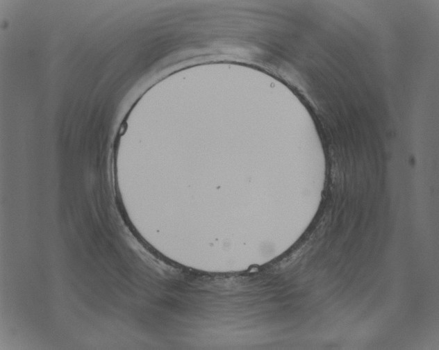 X0000072971516200608211309