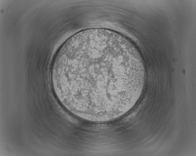 X0000072971517200608211309