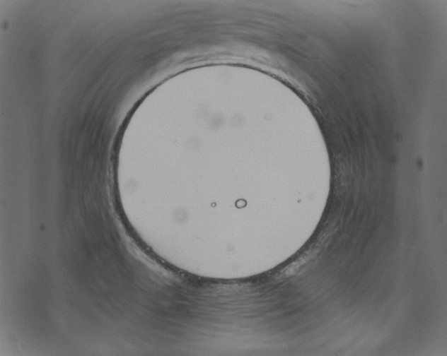 X0000072971518200608211309