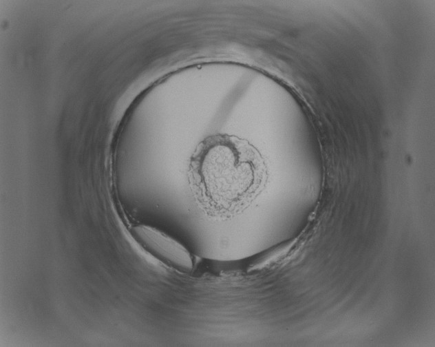 X0000072971519200608211309