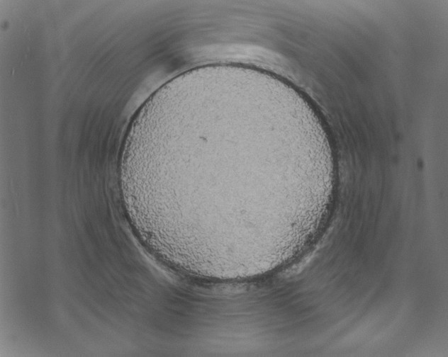 X0000072971521200608211309