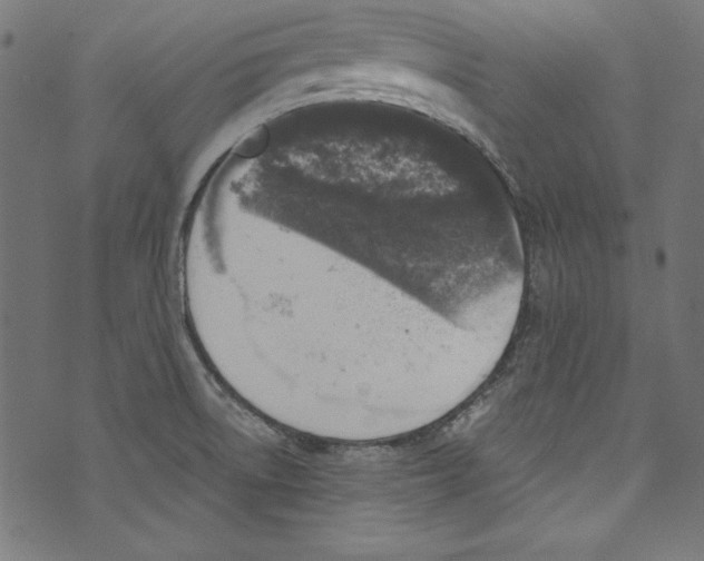 X0000072971522200608211309