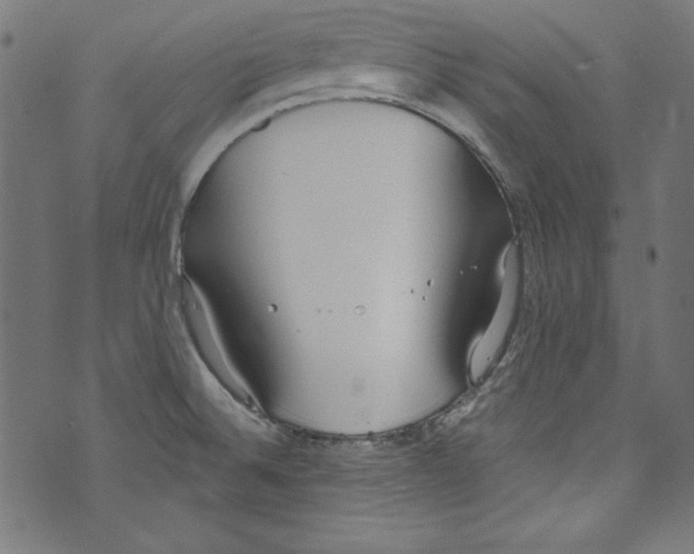 X0000072971524200608211309