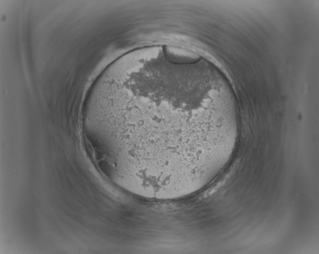 X0000072971525200608211309