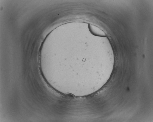 X0000072971526200608211309