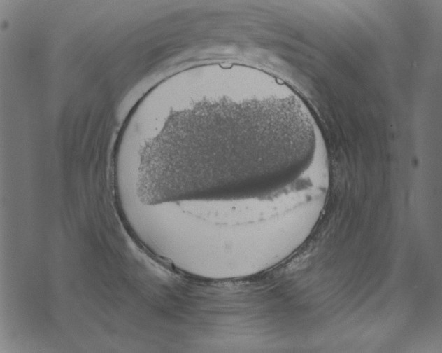 X0000072971527200608211309