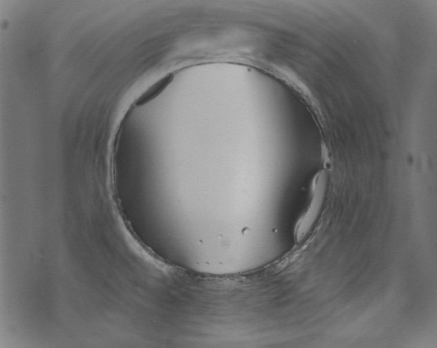 X0000072971528200608211309