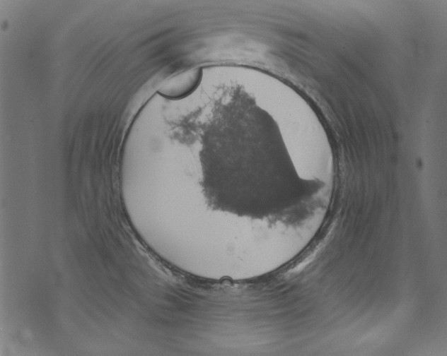 X0000072971529200608211309