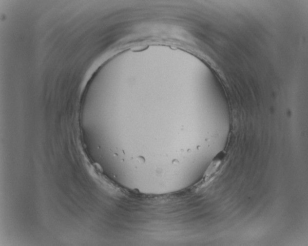 X0000072971530200608211309