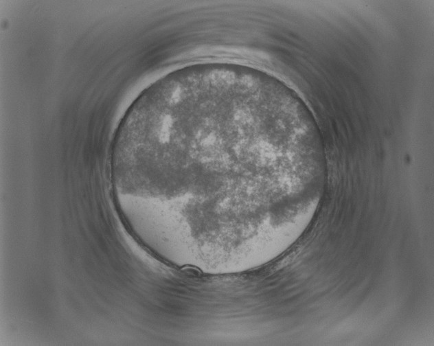 X0000072971531200608211309