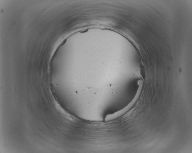 X0000072971532200608211309