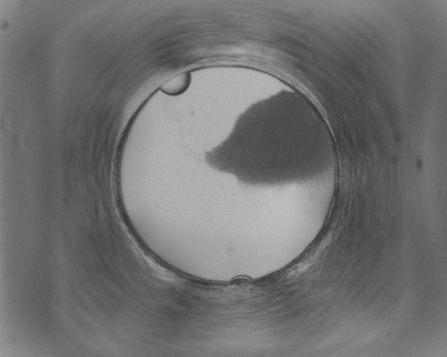 X0000072971533200608211309