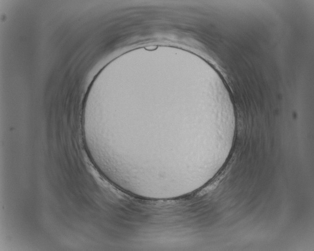 X0000072971534200608211309