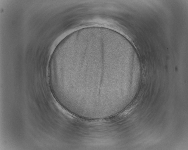 X0000072971535200608211309