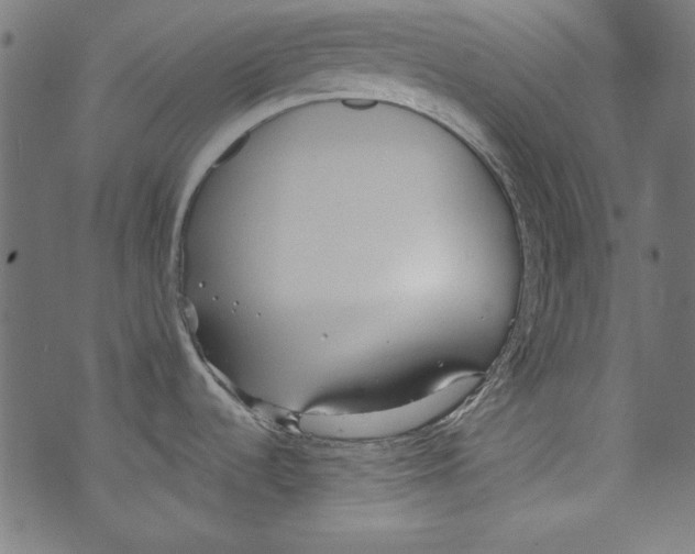 X0000072971536200608211309