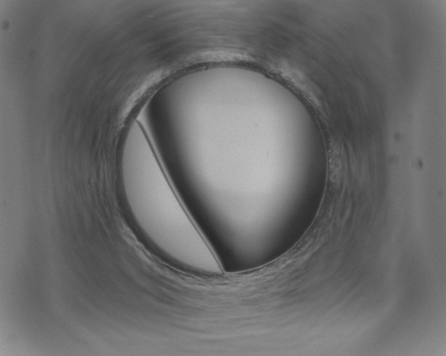 X0000072980015200607211017