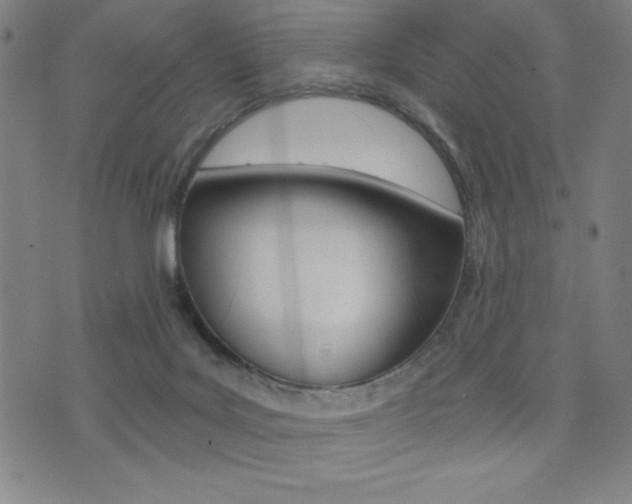 X0000072980027200607211017