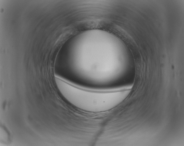 X0000072980035200607211017