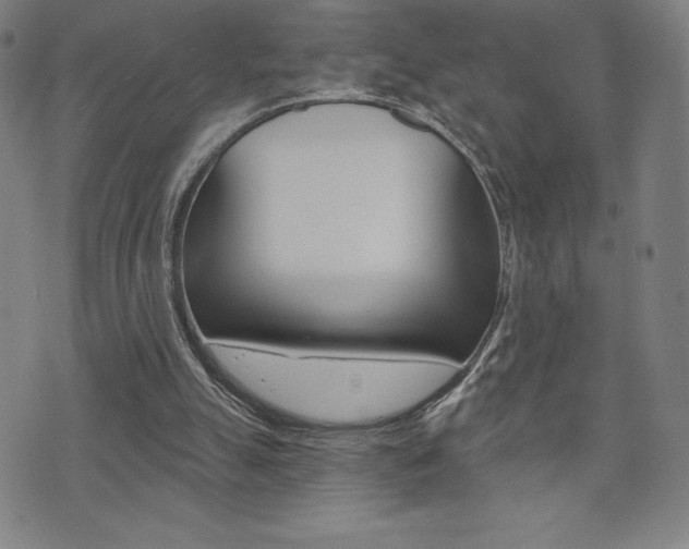 X0000072980055200607211016