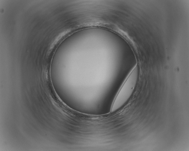 X0000072980060200607211016