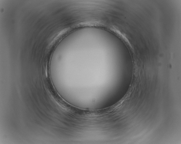 X0000072980062200607211016