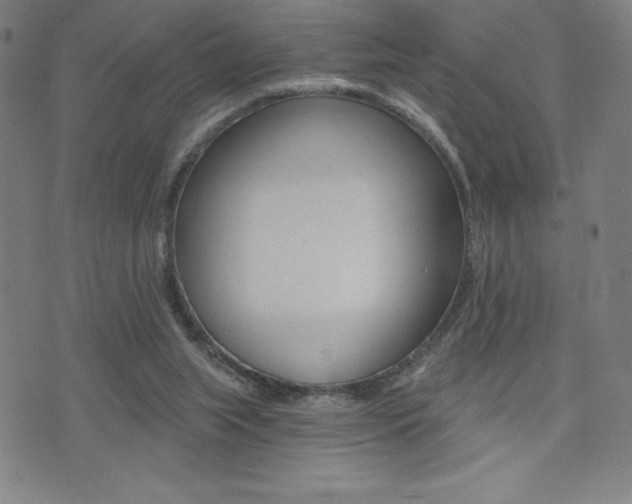X0000072980063200607211016