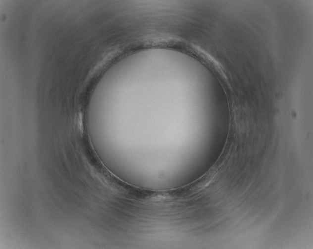 X0000072980067200607211016