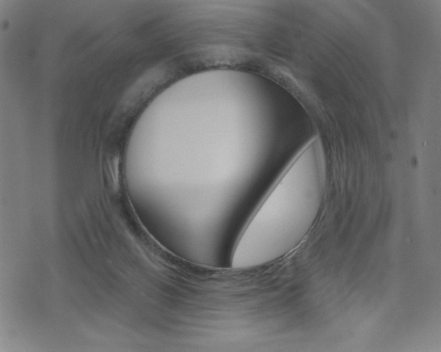 X0000072980070200607211016