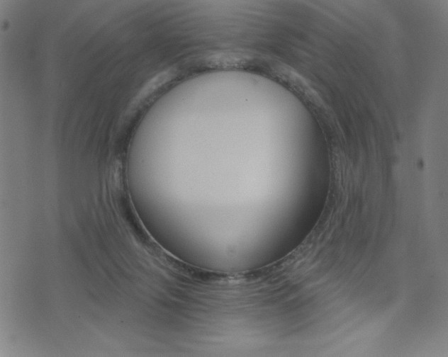 X0000072980071200607211016