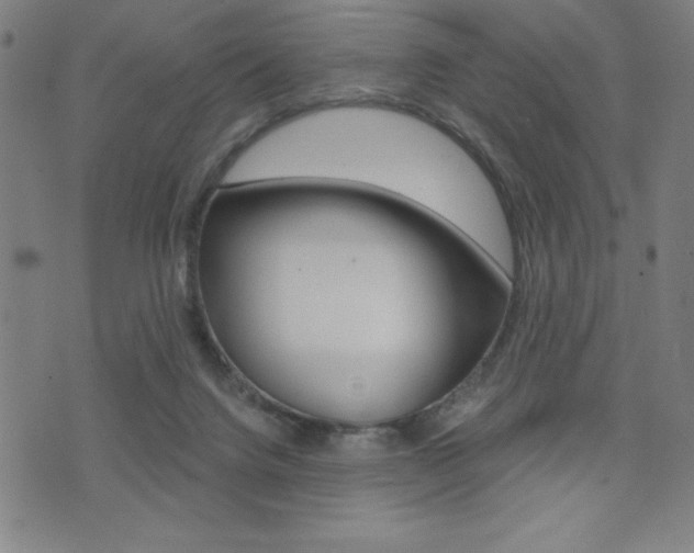 X0000072980072200607211016