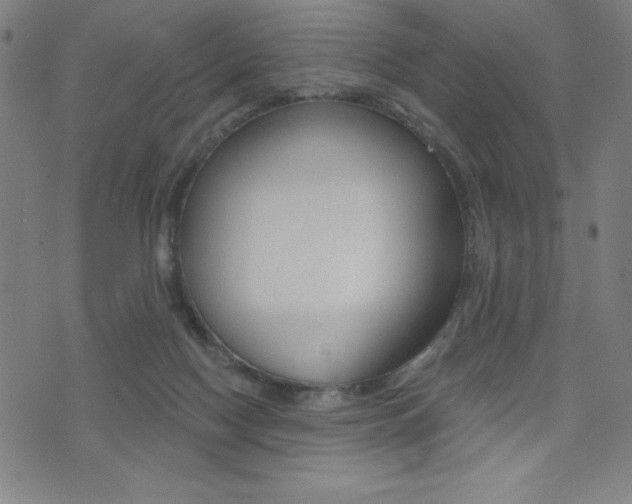 X0000072980074200607211016