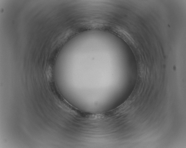 X0000072980077200607211016