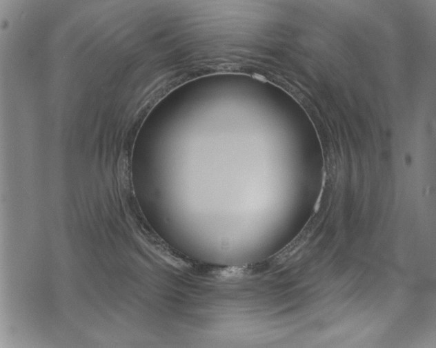 X0000072980092200607211016