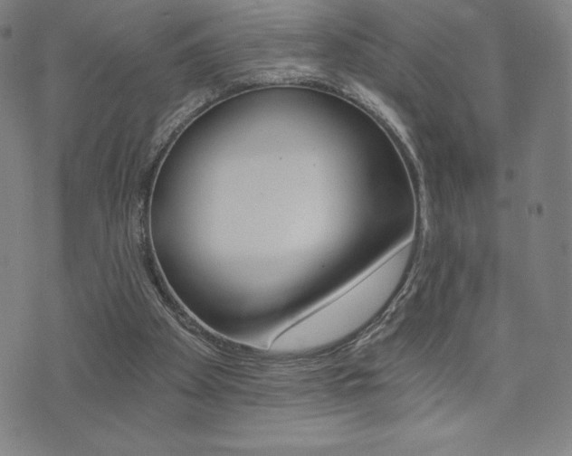 X0000072980105200607211016