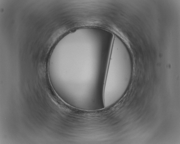 X0000072980107200607211016