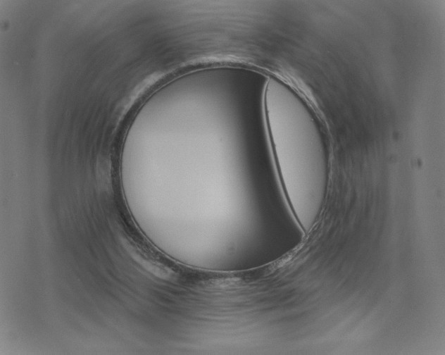 X0000072980108200607211015