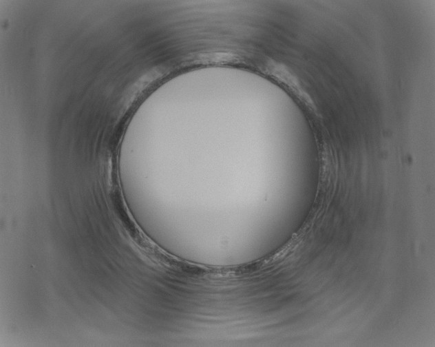 X0000072980110200607211015