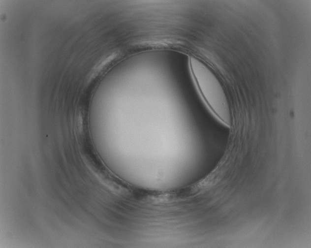 X0000072980120200607211015