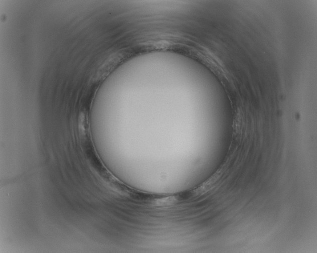 X0000072980122200607211015
