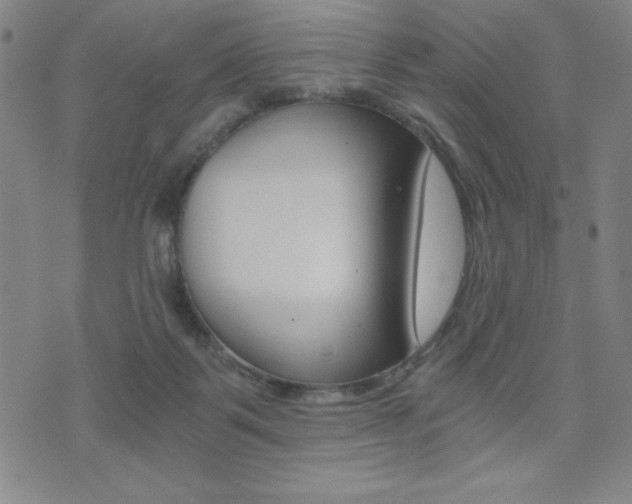 X0000072980123200607211015