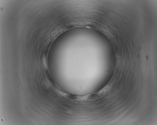 X0000072980143200607211015