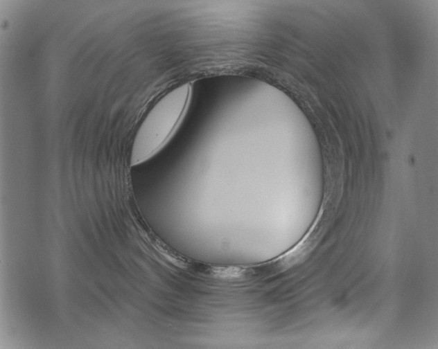 X0000072980144200607211015